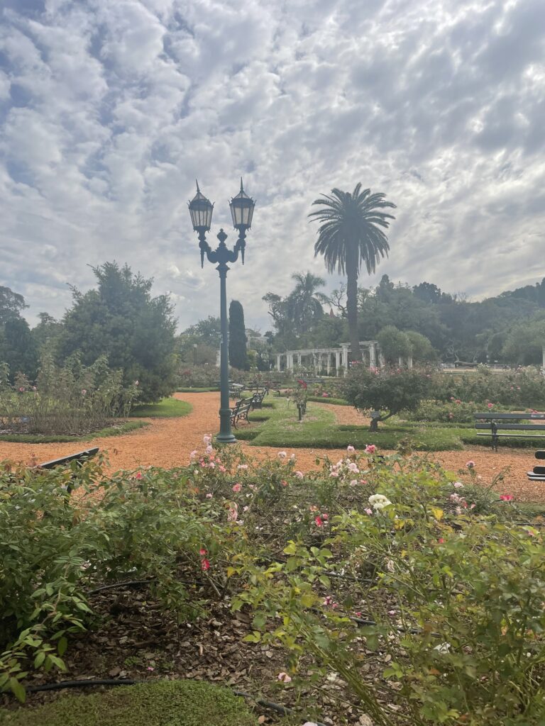 A sunny view of the El Rosendal rose garden in Buenos Aires, Argentina. Roses, a lamp post, and palm trees can be seen near a dirt path.